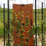 Apartmanhotel Sotto La Vigna Charm Adults Only Vacation Hayloft 4*